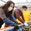 최광호농장 이미지