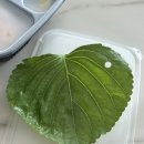 공차 경산하양점 이미지