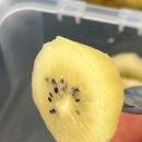 점보마트 | 당일장터 백도 복숭아, 점보 골드키위 내돈내산 후기｜비싸도 재구매한 이유🍑🥝