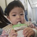 리조트주유소 | 14개월 돌아기랑 괌여행 대한항공 두짓타니리조트 해피렌트카 1탄 -정보편-