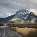 비아매일카 이미지