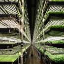 산업농장 이미지