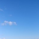 [장거리] 2022년 동해안_9월 21일_3일차 사진 (고래) 이미지