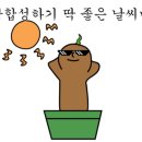 화성(목포) 네이버블로그