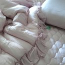 반디하우스 이미지