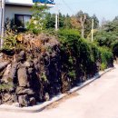 회수동-6 이미지