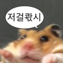 동네 만화방 뿌시기 2탄-편안한 만화카페 스툰 고려대