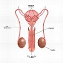 자이비뇨의학과병원 이미지