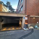 강남-229 이미지