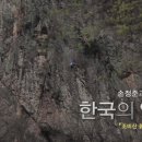 붉은 여우 PC 이미지