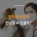 주식회사 세성 이미지