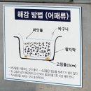 6월 서천독서가치 | 서천 비인해변 해수욕장 동죽 조개 무료갯벌체험 물때 동죽해감