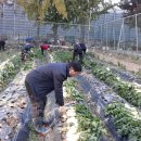 만수1동-7 이미지