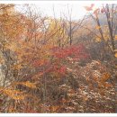 양산 천성산 내원사-비로암-짚북재-성불암계곡 12 이미지