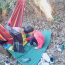 여주-1011 이미지