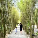 이도윤농장 이미지