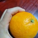 석화농장 이미지