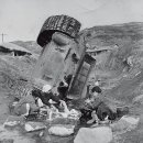 모아모아빨래터 이미지