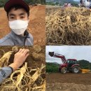 병삼농장 이미지