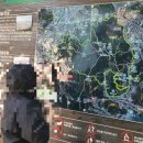 팔각정상회 이미지