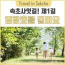 속초사잇길 제1길 이미지