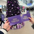 노다지 PC방 | (일상) 2025 컬리 푸드 페스타 막차 후기 및 소소한 일주일