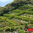 환상의 섬 이미지