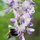 사회복지법인 여수애양병원 이미지