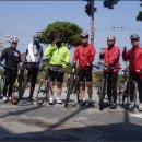 고달면사무소 | 후기 - 때 늦은 벚꽃 라이딩 ^^