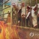 손대성축사 이미지