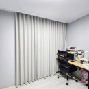 금산느티나무 이미지