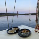 황가네통닭 | 최애 맛집 리스트 10군데 대공개 🍽️ +양양 오션뷰 야장 횟집, 고성 감성카페 | 전부 내돈내산 솔직 후기