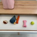 모모애견 이미지