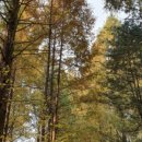 한국폴리텍 IV 대학 청주캠퍼스 이미지