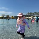 캣플 동탄점 이미지