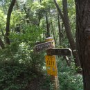 완산-164 Daum카페
