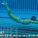 연주회사 중앙일보