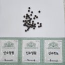 신수정약국 이미지