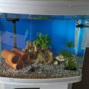 월곶1통 이미지