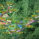 용인자연휴양림 야영장 이미지