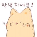 엔젤펫카페