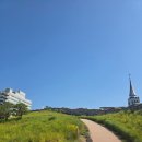 이마트24 남산한양점 | 한양 도성길 코스 낙산구간->백악산구간->인왕산구간 후기 26년6월