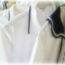 하루 쉬면서 내가 한 일. 이미지