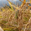 황금종합복지관경로당 이미지