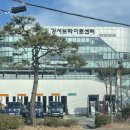 부산강서구여성센터 | 부산 강서구 생활체육센터 수영장 후기 (레인 수·수심·사람 많음 여부)