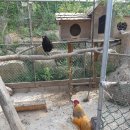 황토흙펜션 꿈의대화 이미지