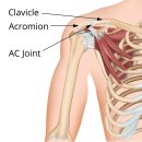 좌측 견쇄관절(AC joint) 염좌를 진단받은 잭 라빈, 내일 Nets 전 출전상태 questionable 이미지