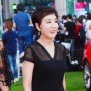 강수연 티브이데일리