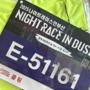 2025 나이트레이스 인 부산 광안리 나이트런 후기 및 꿀팁