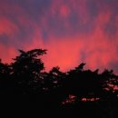 붉은노을 이미지